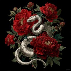 “Afterglow” 🎶