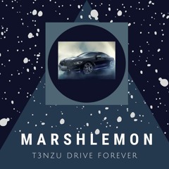T3NZU Drive Forever