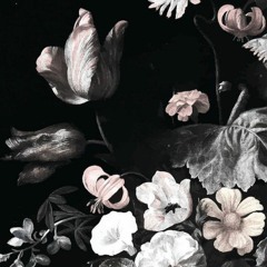 Khalid - "Eleven(DND Cover)"