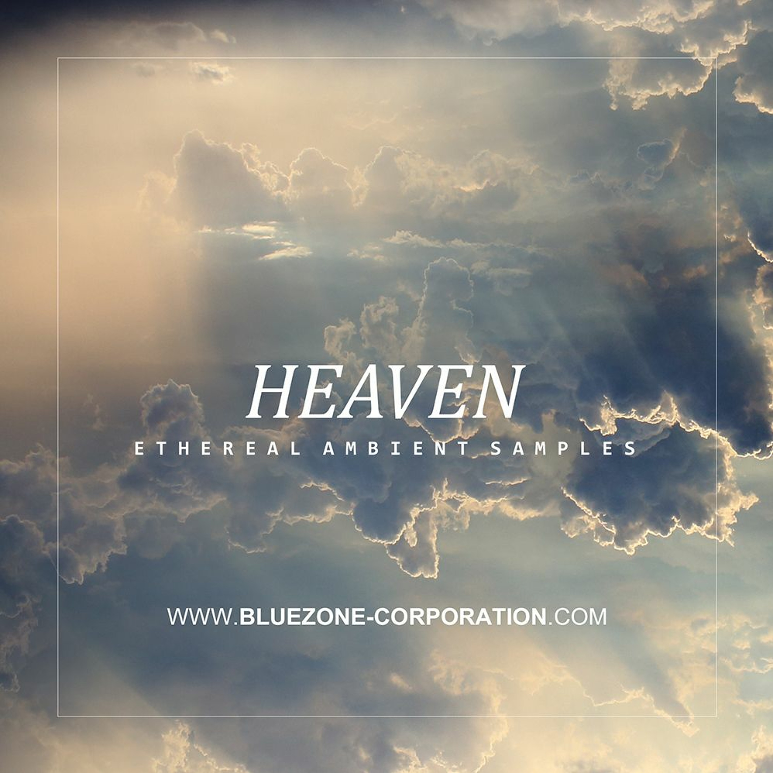 Bluezone Corporation