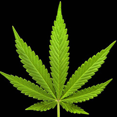 marijuana (prod. yuuuup x lulabyy)