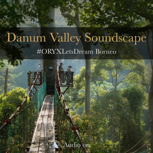 Danum Valley Soundscape - Borneo