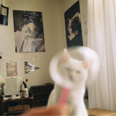 映画