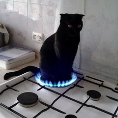 options* (prod bapop)