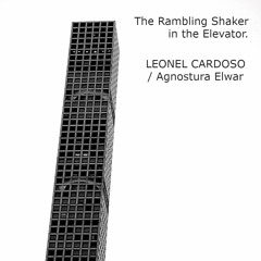 The Rambling Shaker  In The Elevator(with Gravity Influences) by LEONEL CARDOSO /Agonstura Elwar