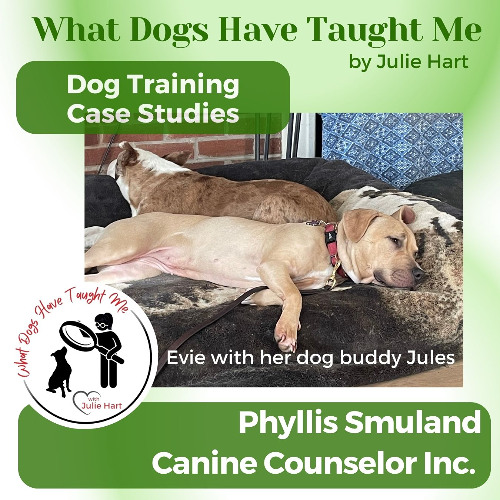Dog Training Case Studies with Phyllis Smuland