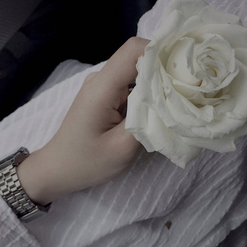 Chuyện tình lướt qua / hongkong1 [ slowed + reverb ]