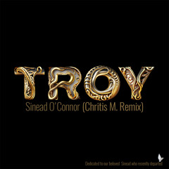 Sinead O'Connor - TROY (Chritis M. Remix)