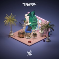 DVNB & imallryt - Perfect