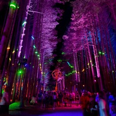 Electric Forest '26 ⚡🌲