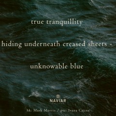 Unknown Blue (naviarhaiku325)