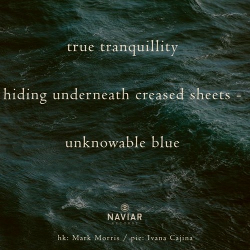 Unknown Blue (naviarhaiku325)