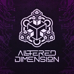 Altered Dimension - Moments Of Truth  - 148 - G - Original Mix