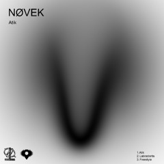 NØVEK - labradorita