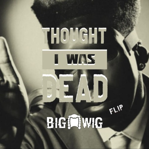 Tyler the Creator - Thought I Was Dead (The Big Wig Flip)