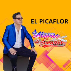 El Picaflor