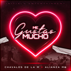 Chavalos de la M - Me Gustas Mucho ft. Alianza M6