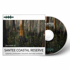 The Sounds of Santee Coastal Reserve