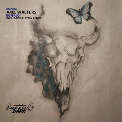 Axel Walters - Buffalo (Extended Mix)