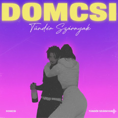 domcsi - tündér szárnyak