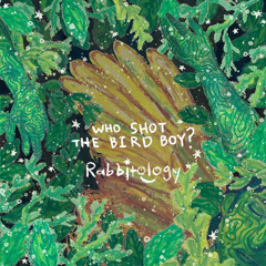 Who Shot the Bird Boy?