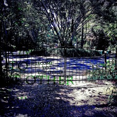 Welcome to the Other Side....