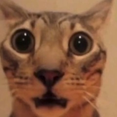 Y2K, bbno$ - Lalala x HEYYEYAAEYAAAEYAEYAA