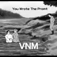 VNM - You Wrote The Promt