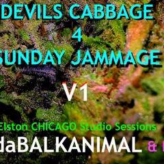 El Diablo Cabbage 4 Our Jammage - Skender Makota DaBalkanimal & Friends Elston Sessions Chicago V1