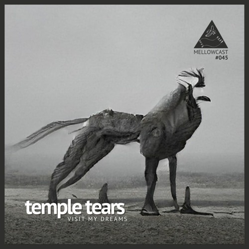 mellowcast #045 | temple tears [visit my dreams]