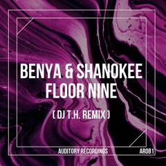 Benya & Shanokee - Floor Nine (DJ T.H. Remix Radio Edit)