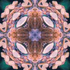 4th Dimension
