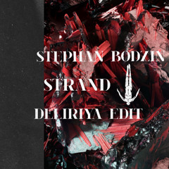 Stephan Bodzin - Strand (Deliriya Bootleg)