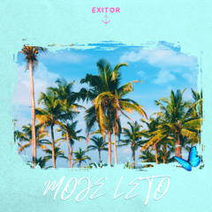 In Vivo x Boyant - Moje Leto x Stereo Love (Exitor Mashup)