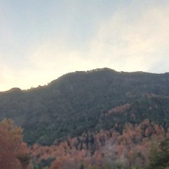 Morenistik - Tik Tak