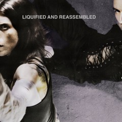 S-IN 004 Schacke & Cunt Remember - Liquified And Reassembled