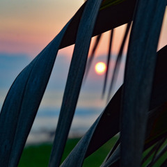 The Tao Of Not Fucking Around To Find Out