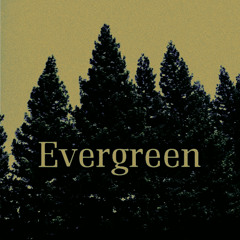 Evergreen