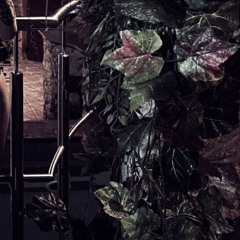 fakfame - невменяем