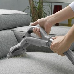 Insight On Upholstery Cleaning You Ought To Know