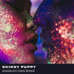Skinny Puppy – Assimilate (DMX Remix)