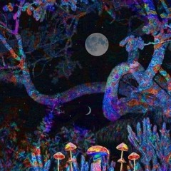 M̟Ξ͓̥T̫̻̱H͙͚̩ФÐ ̥ΛŁ̻̠̘P̫͍ˡᶤᵛᵉ͕ͅ ̙ᵐᵒ̤̱̺ᵈᵘ̙̺͉ˡᵃ̭̬͚ʳ ̼͇