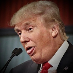 The Bravado of Bullshit