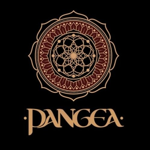 GEOMETRIC FLUX @ Return To The Source Festival [PANGEA Floor // OCT2020]