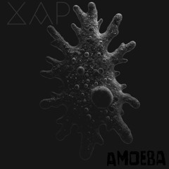 Amoeba