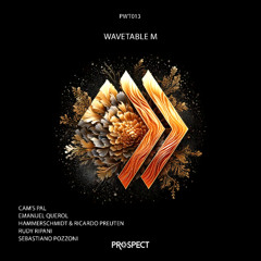 Cam_s Pal - Mkay (Original Mix)