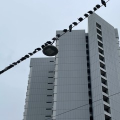 warumgehtsmirgut.mp3