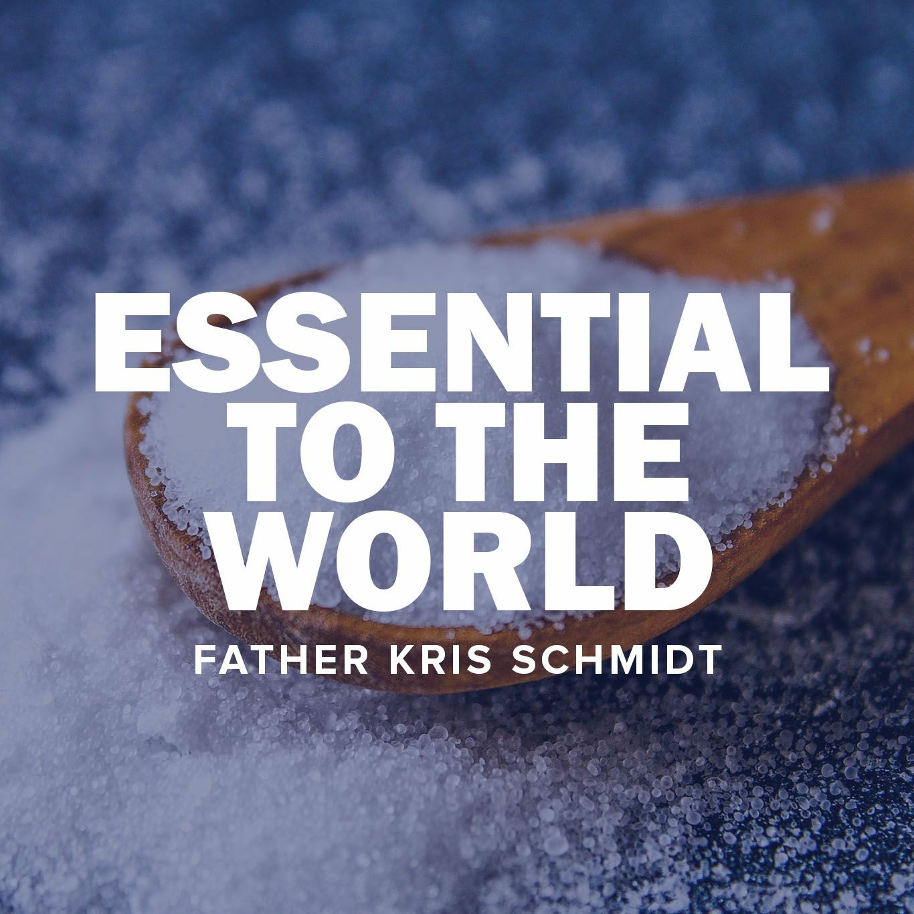 Essential to the World episode artwork