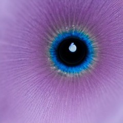 Sleep/Less - Gutter Creature