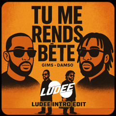 GIMS x DAMSO - TU ME RENDS BETE ( LUDEE INTRO EDIT )